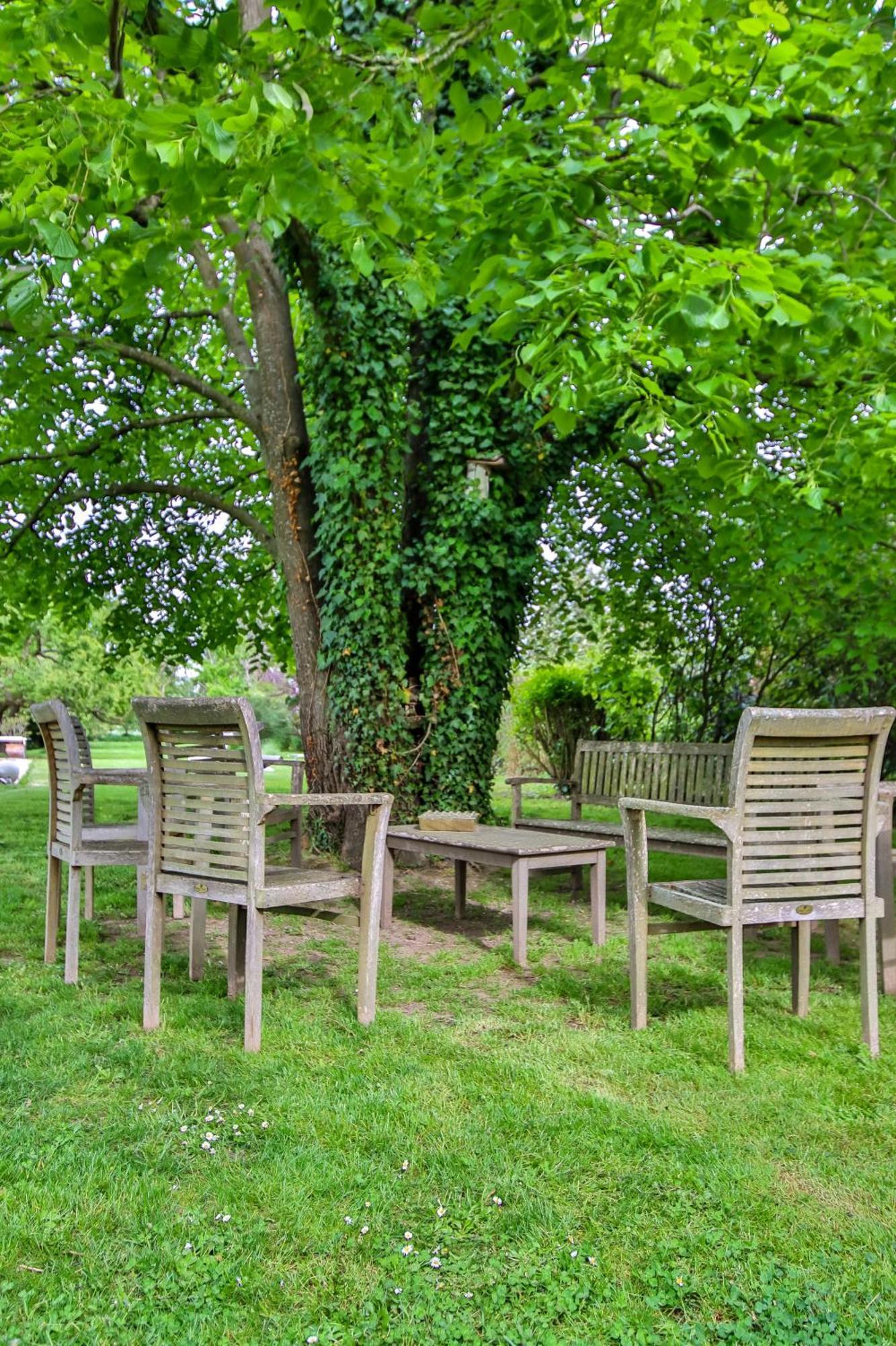 Domaine D'Aromm - Chambres D'Hotes & Gites - Piscine, Etangs & Animaux - Au Calme Ouches Екстер'єр фото