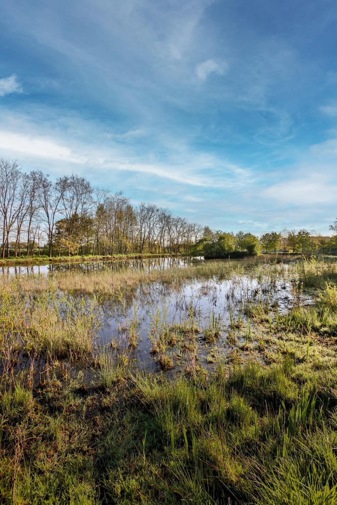 Domaine D'Aromm - Chambres D'Hotes & Gites - Piscine, Etangs & Animaux - Au Calme Ouches Екстер'єр фото
