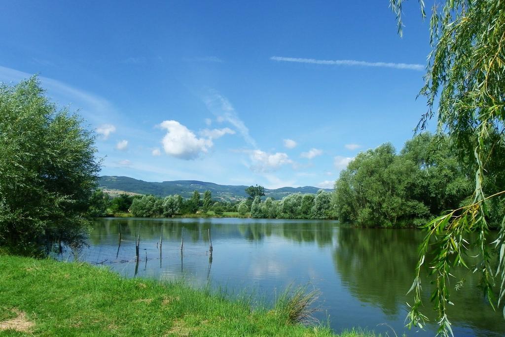 Domaine D'Aromm - Chambres D'Hotes & Gites - Piscine, Etangs & Animaux - Au Calme Ouches Екстер'єр фото